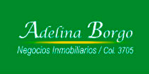 Adelina Borgo Propiedades