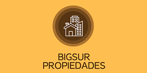 BigSur Propiedades